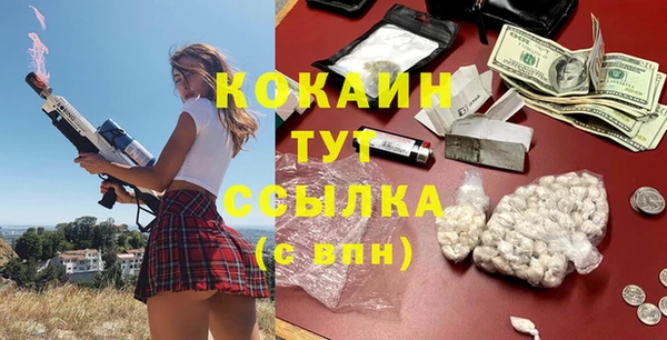 индика Горняк