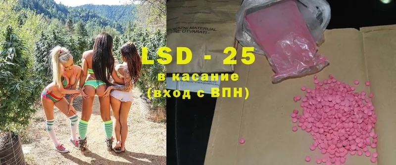 OMG ТОР  продажа наркотиков  Чебоксары  LSD-25 экстази ecstasy 